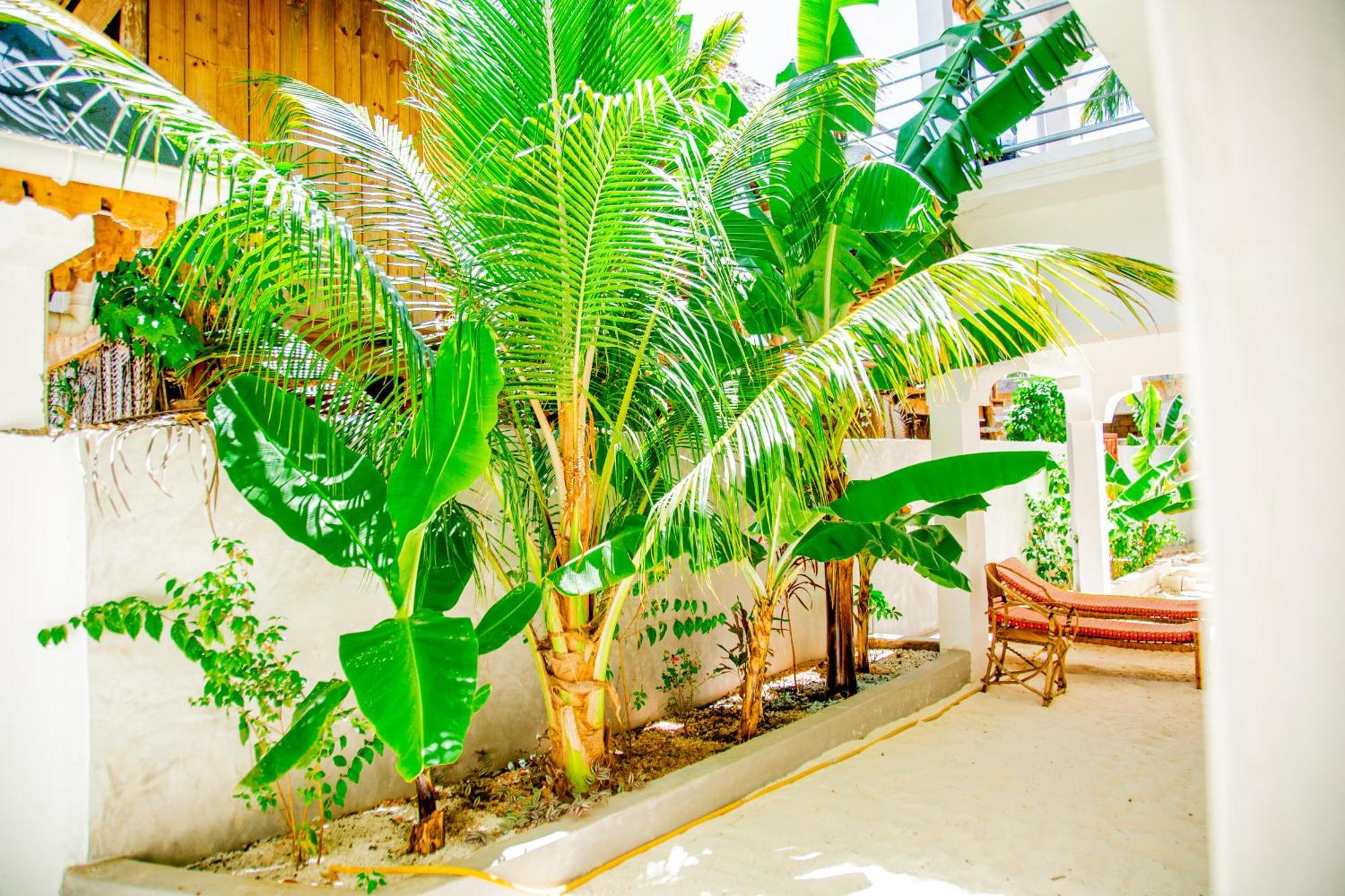 Pamoja Beach Stays Hotel In Jambiani Jambiani  Exteriér fotografie